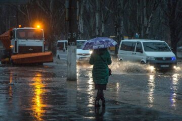 Украинцы, фото: Unian