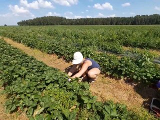 Заробітчани, скріншот із відео