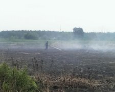 Рятувальники не можуть впоратися з торфовищами під Києвом