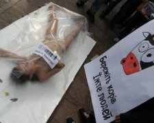 Українців атакують вегани: хто кого?