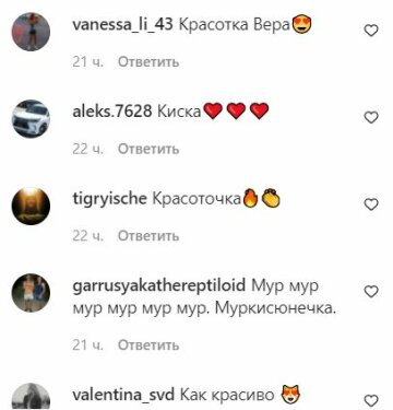 Коментарі до публікації, скріншот: Instagram