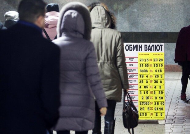 Украинцев предупредили о стремительном обесценивании гривны: как уберечь собственные доллары
