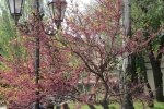 Погода в Україні, фото: odessa-life.od.ua