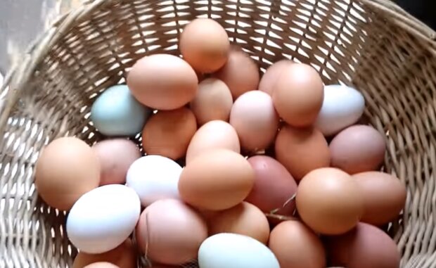 Курячі яйця, скріншот: YouTube