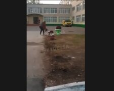 В школе выкапывают цветы, скриншот из видео