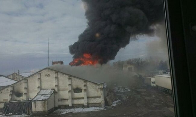 Пожежа у Василькові спровокувала паніку (фото, відео)