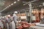 Харків'яни оголосили війну ковбасі