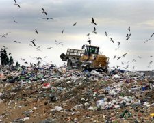 Мусор из Украины может покрыть европейскую страну: ужасающая статистика