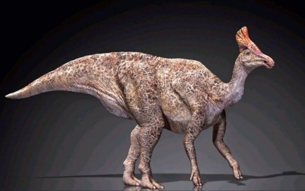 Китайцы нашли останки "фазанозавра"