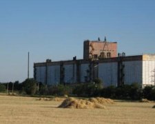Новоайдарський елеватор захопили озброєні рейдери - "Хліб України"