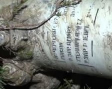 Опубліковано відео з місця падіння сирійського винищувача