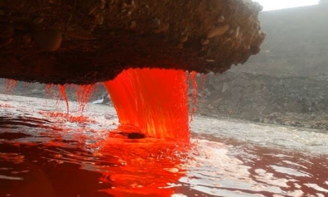 Криваві водоспади Антарктиди. Фото: Youtube