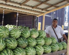 Украинцам на заметку: что будет с ценами на арбузы