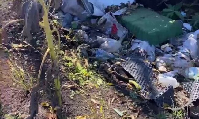 Позиції ворогів. Фото: кадр з відео