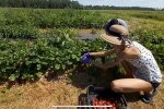 Заробітчани, фото: скріншот з відео