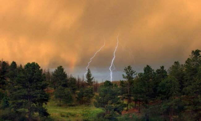 Украину накроют грозовые дожди