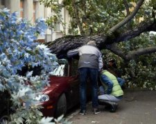 Ураган-убивця увірвався до Польщі