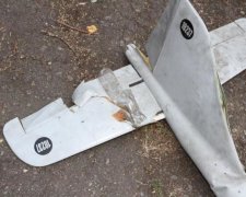 Вдале "полювання" українських воїнів показали в мережі: відео
