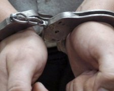 Охоронця Пушиліна посадили на вісім років (відео)