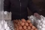 Яйца. Фото: скриншот с видео