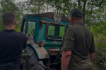 незаконная вырубка деревьев