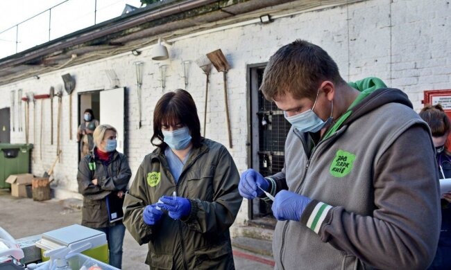 В київському зоопарку лікарі ризикнули життям заради клишоногих: "Пробули у клітці 20 хвилин"