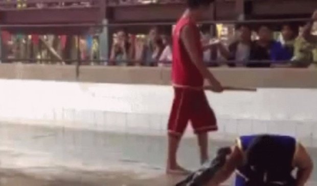 Як чоловік в басейні з крокодилами “купався” (відео)