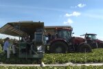 Заробітчани, кадр з відео