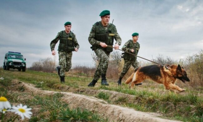 Более тысячи незаконных мигрантов задержали на границе с Украиной