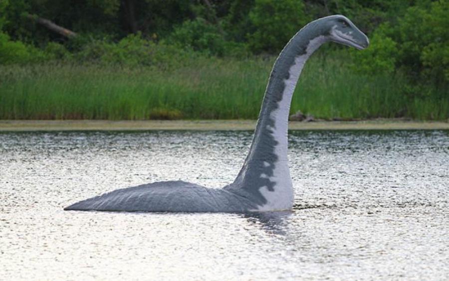 Озеро лохнесс чудовище реальное фото