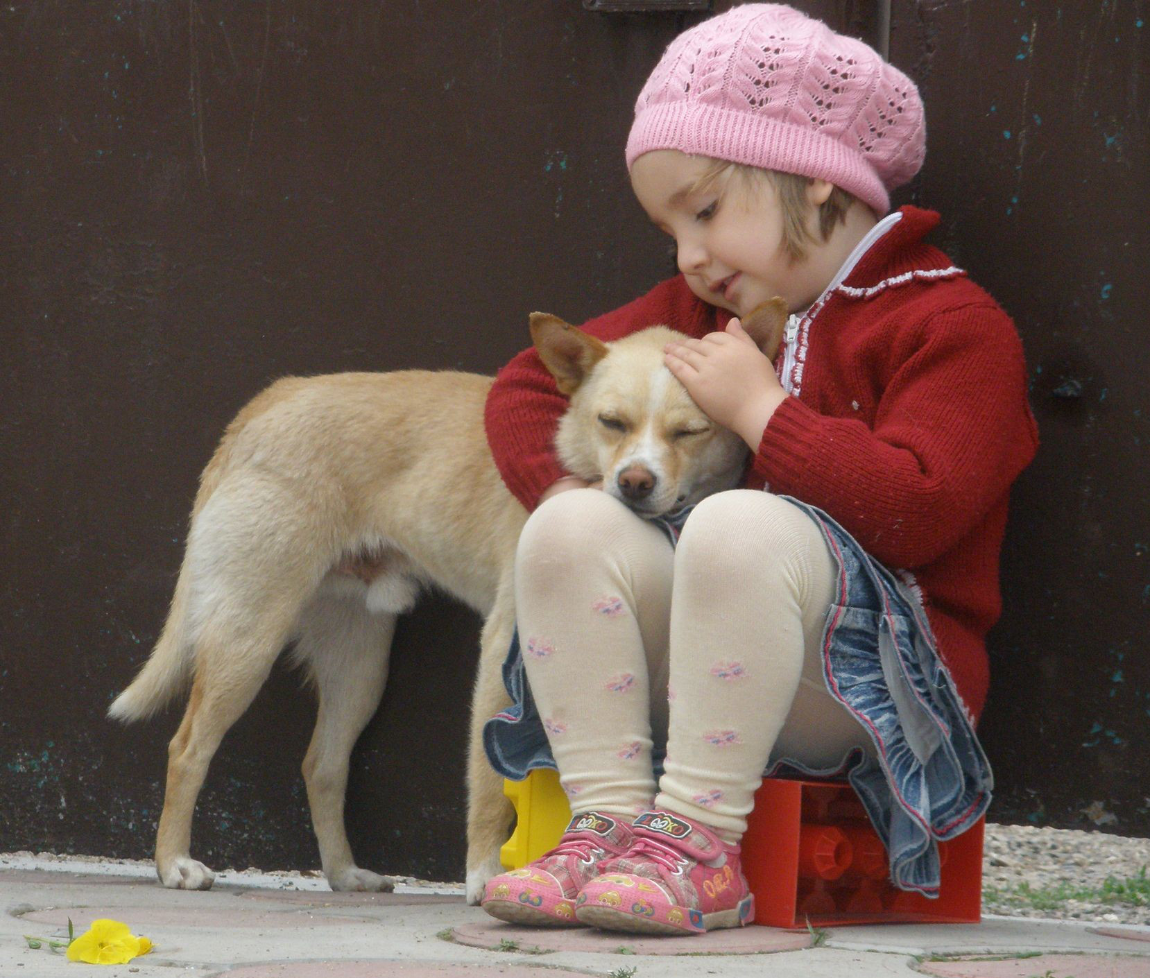 Не находя сочувствия. Сочувствие животным. Доброта картинки. Добро к животным. Собака для детей.