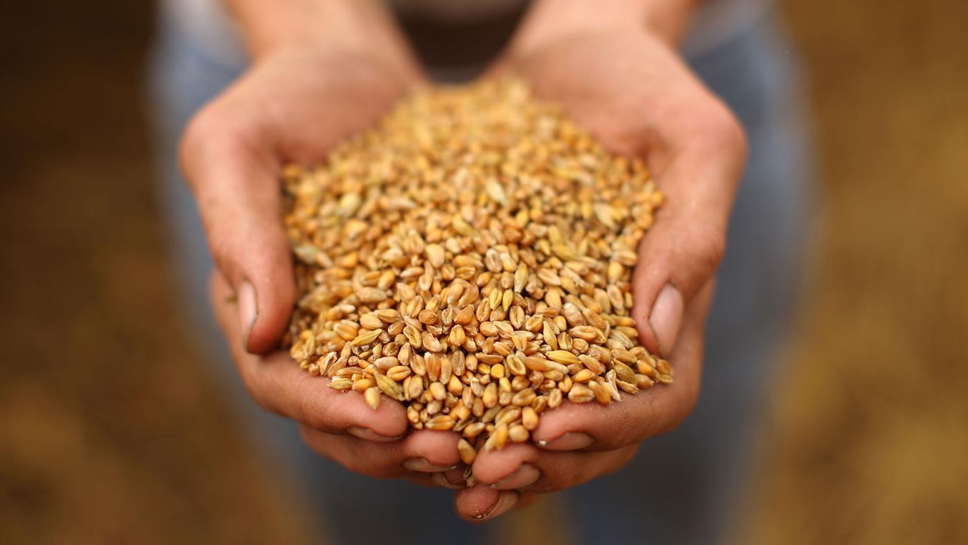 Цены падают, качество растет: придумали новый способ борьбы с потерей ...