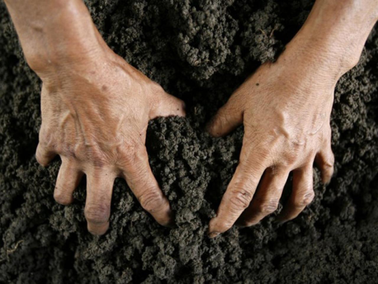 Самовольный захват земли. Почва в ладонях. Земля в руках. Человек роет землю руками.