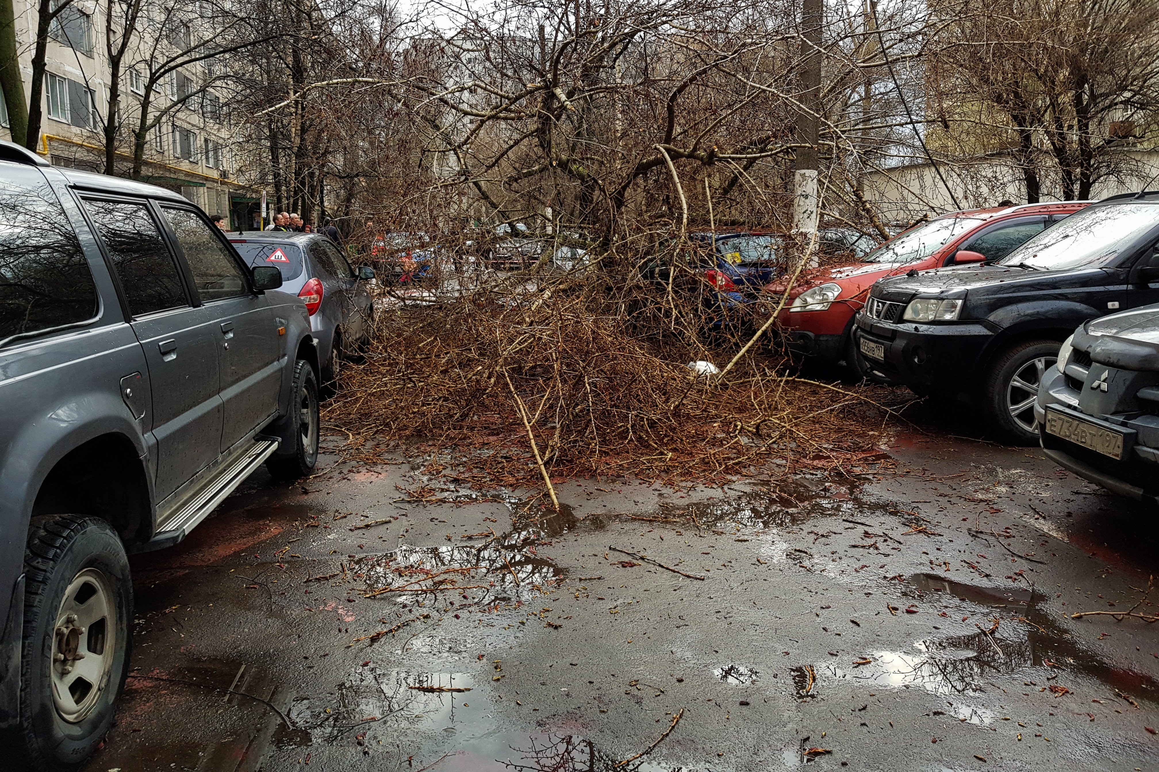 Ураганный ветер. Сильный ветер и дождь. Сильный ветер екатеринбург. Ливень фото. Сильный ветер.