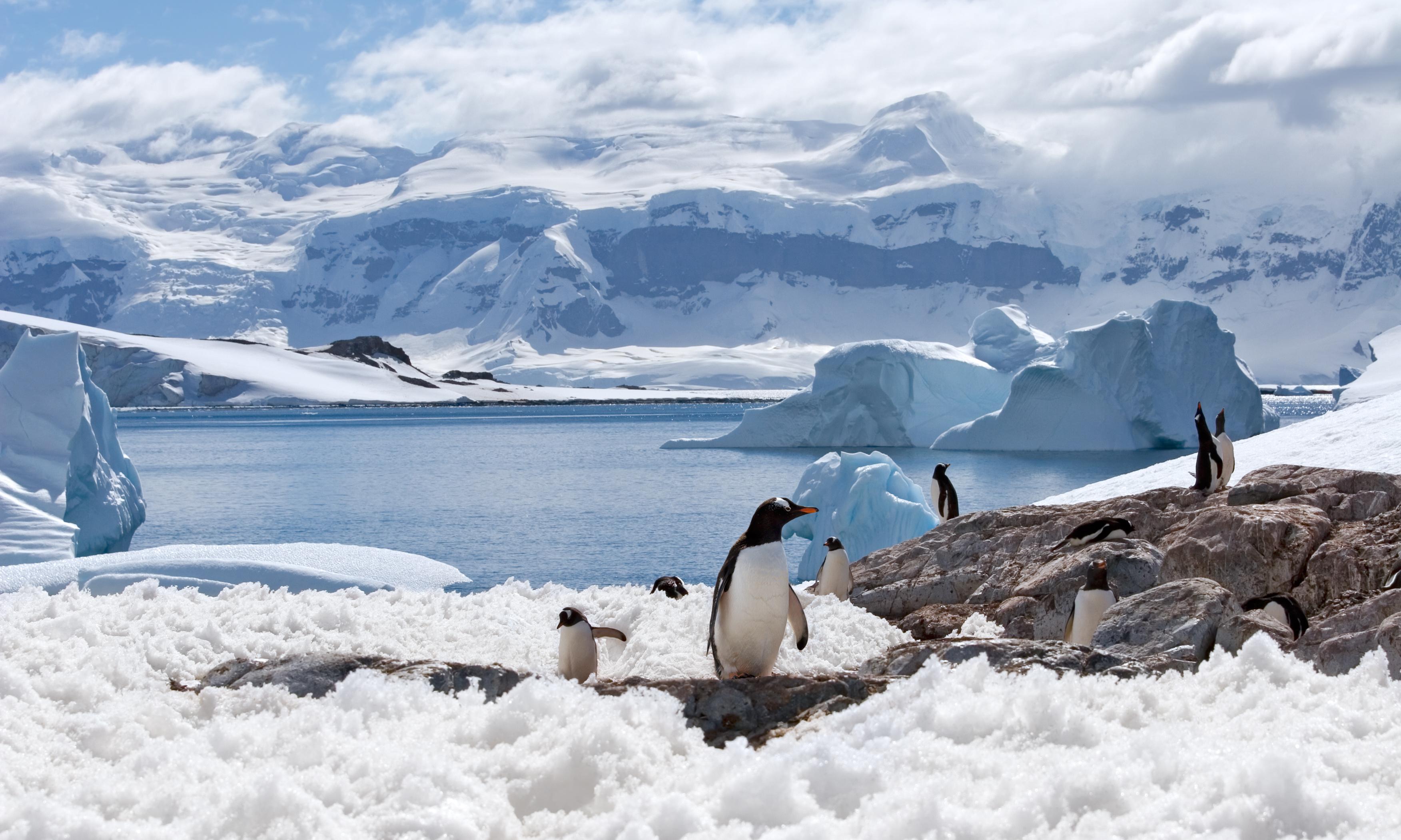 Антарктическое время. Северный полюс Арктика и Антарктика. Северный полюс, Арктика и Южный полюс, Антарктида. Арктика Антарктика Антарктида. Южный полюс Антарктида.