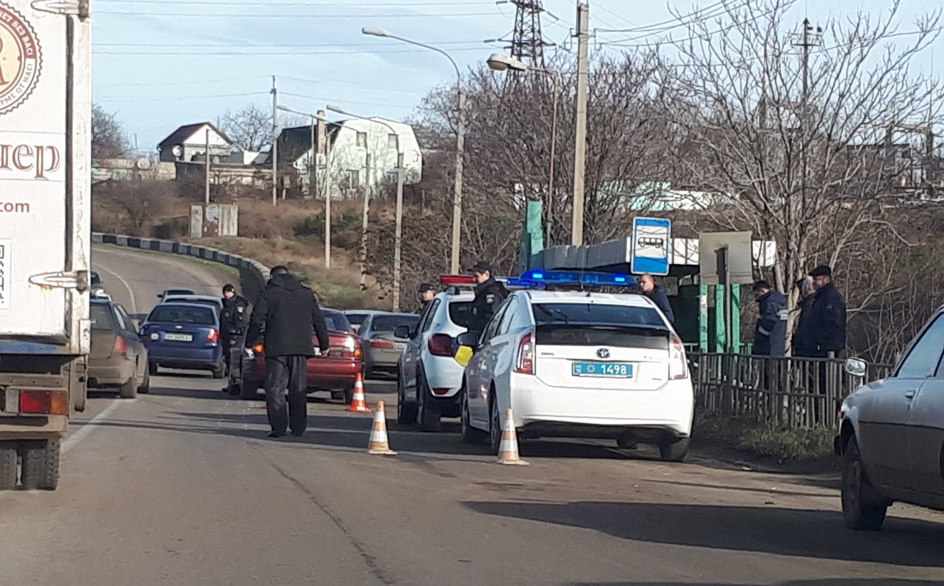 На Львовщине авто на полном ходу влетело в стадо кабанов - ЗНАЙ ЮА