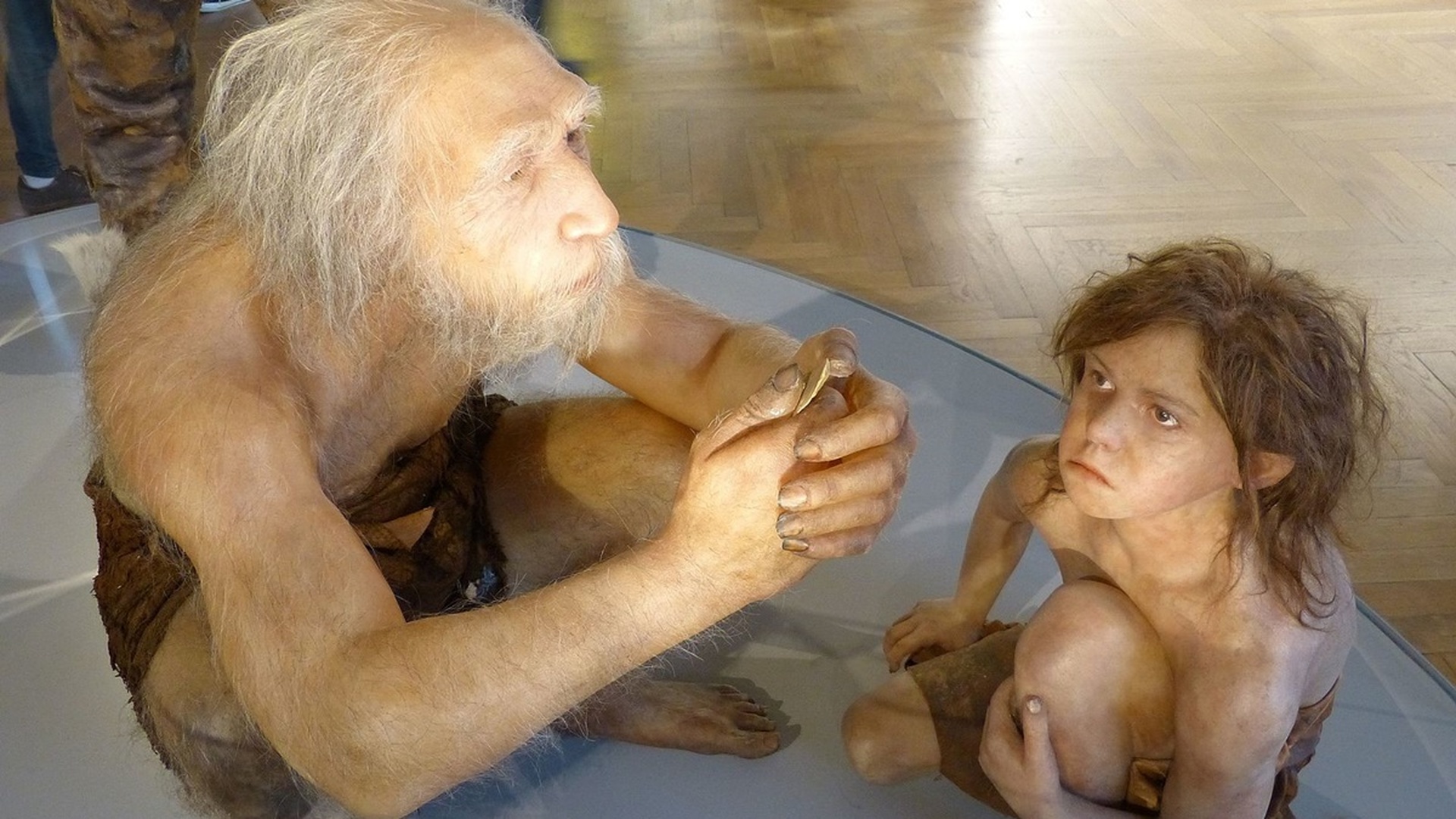 Музей неандертальца Неандерталь