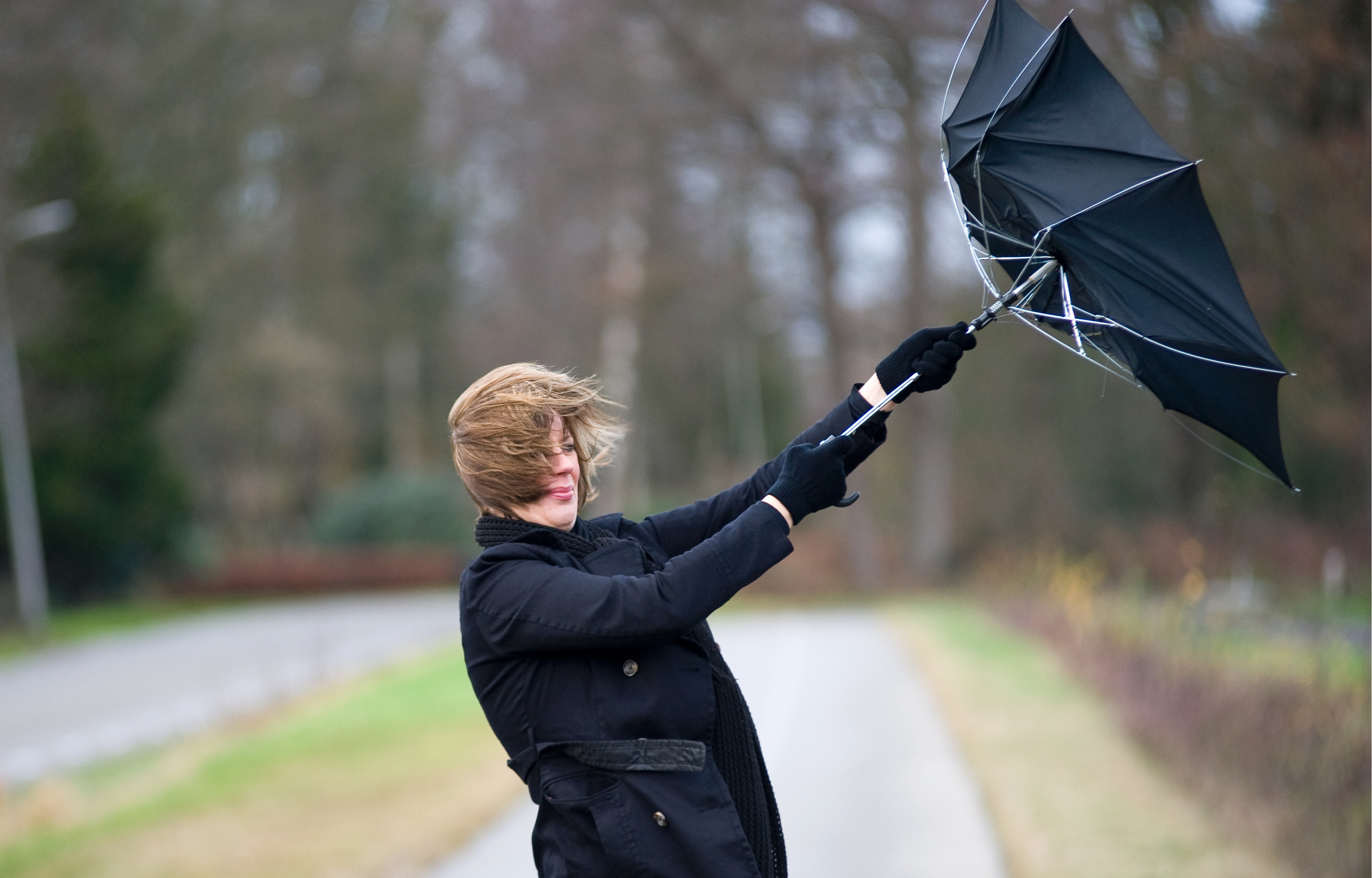Одолжил ей зонтик. Сильный ветер. Шквалистый ветер. Ветер и зонт. Человек с зонтиком.