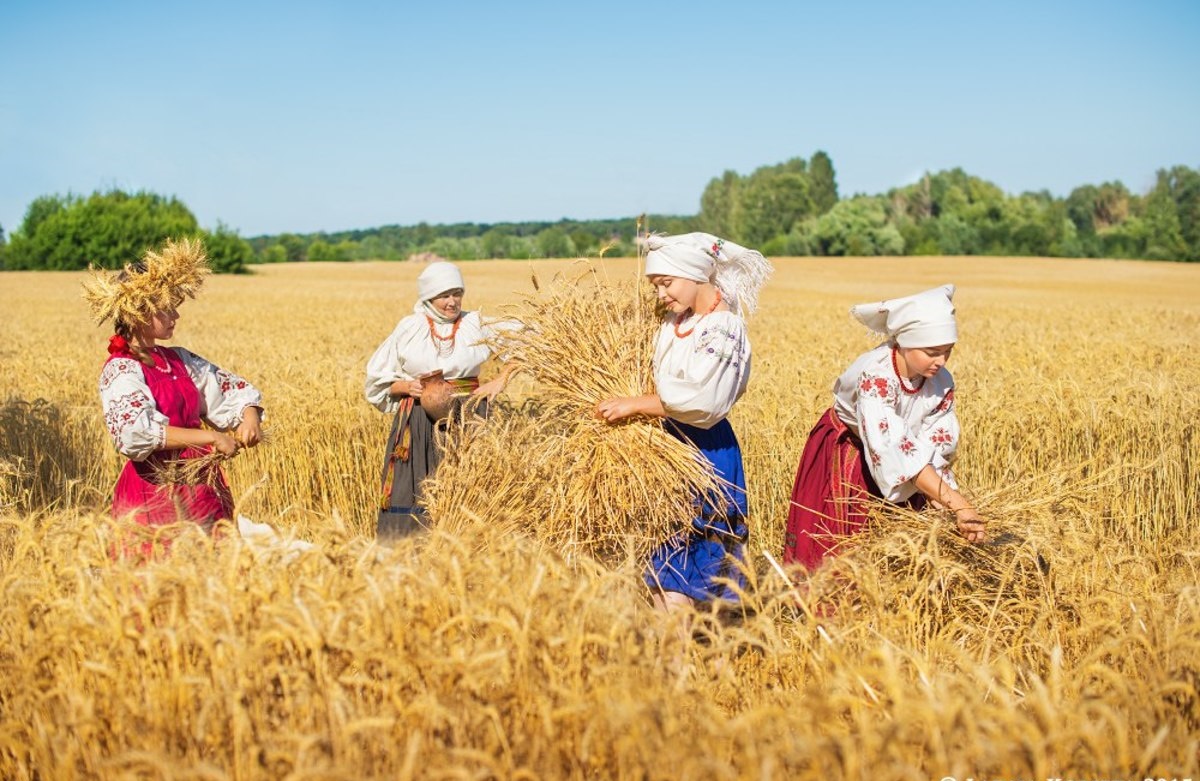 Марки, картинки о хлебе и хлеборобах