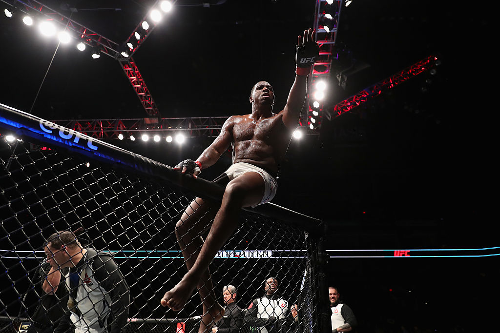 ufc на плойке