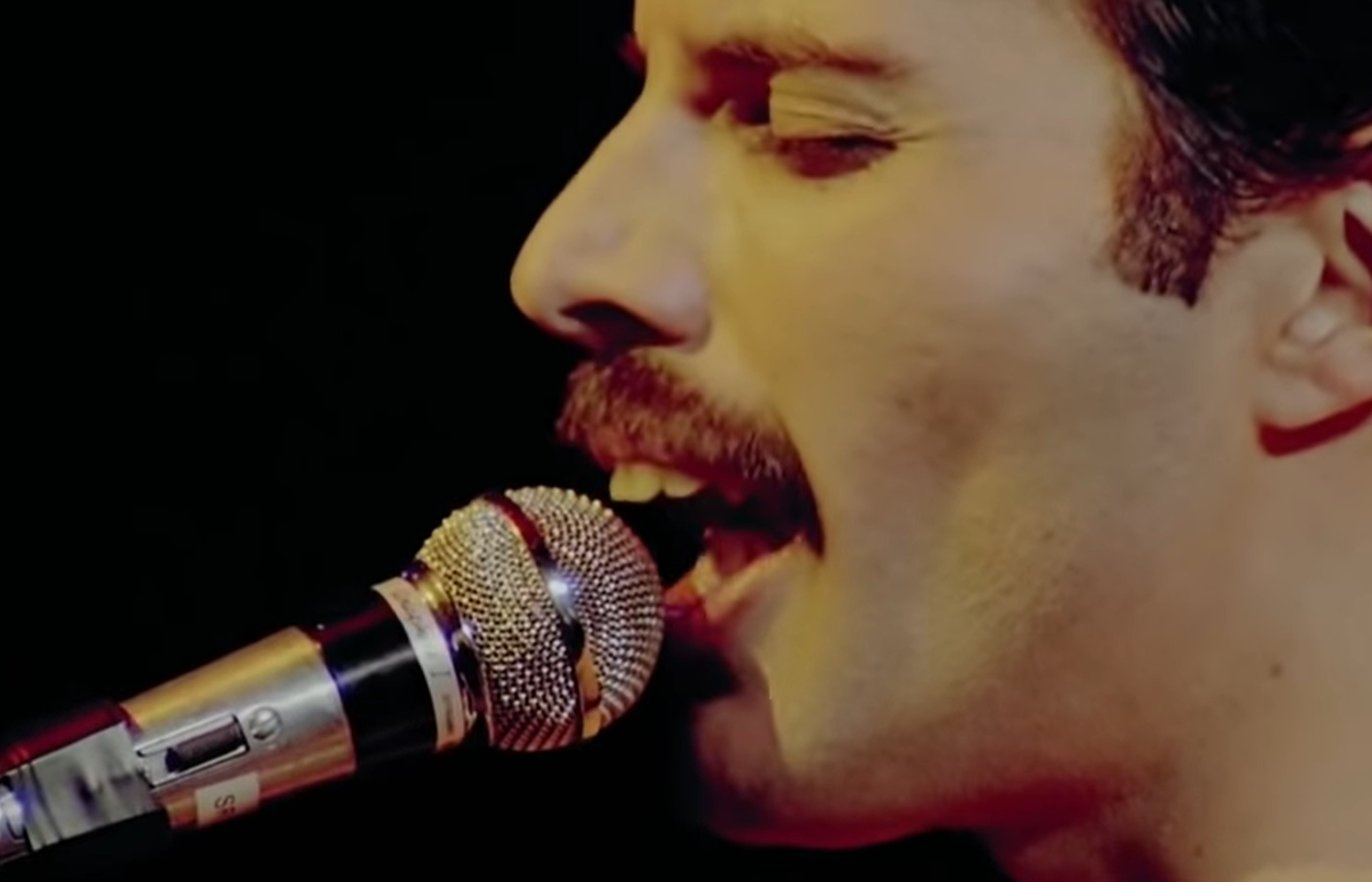 Freddie Mercury 1981. Фредди Меркури зубы. Фредди Меркьюри Bohemian Rhapsody. Фредди Меркури мама.