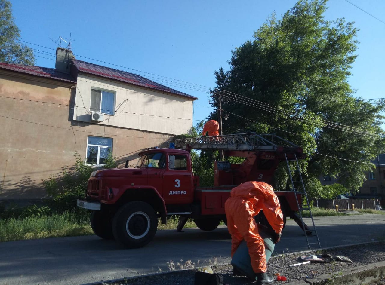 В Днепре спасатели сняли с жилого дома пчелиный улей - ЗНАЙ ЮА