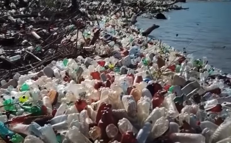 Екологічне майбутнє України - події