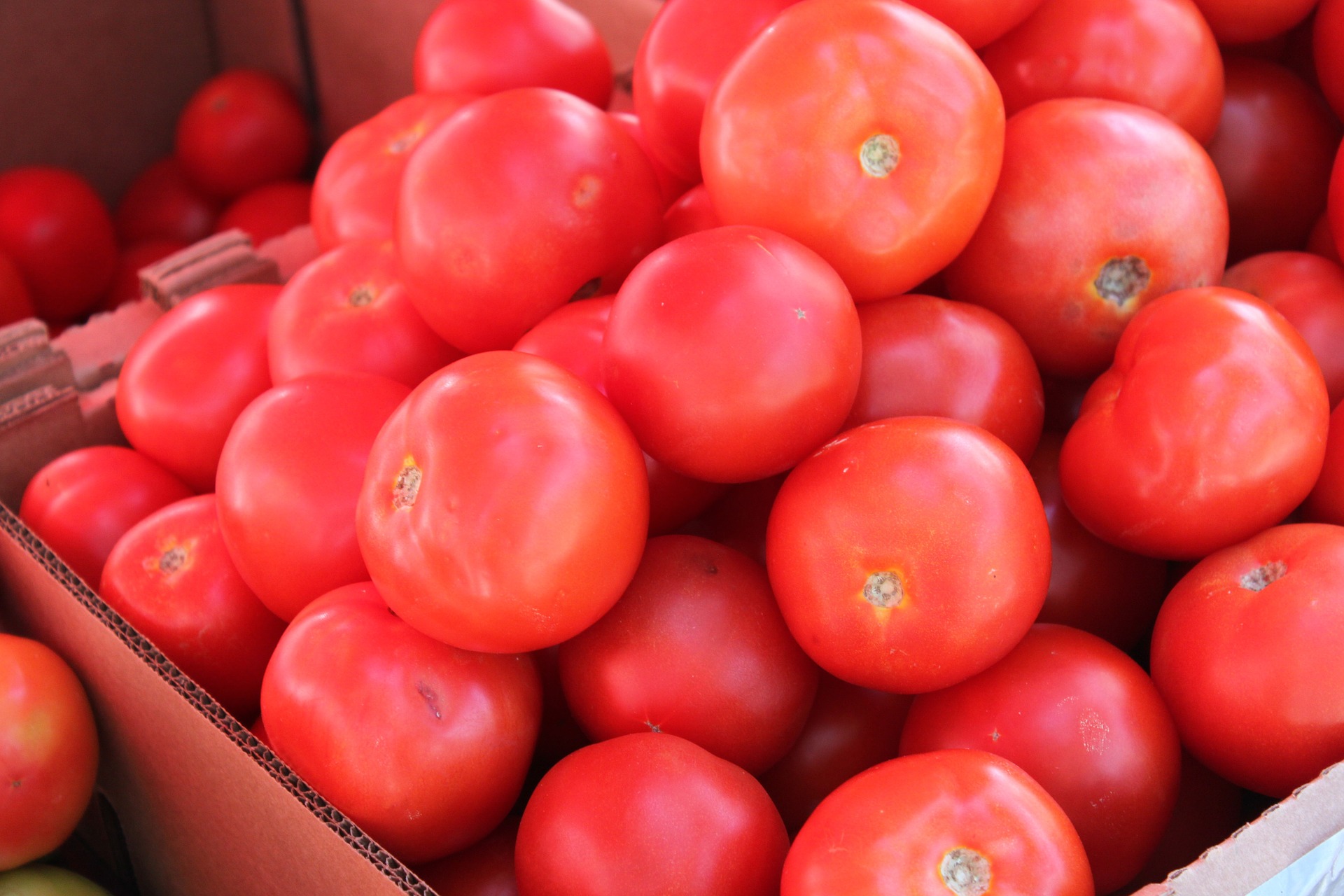 Как ускорить созревание помидоров с помощью обыкновенной соды - ЗНАЙ ЮА