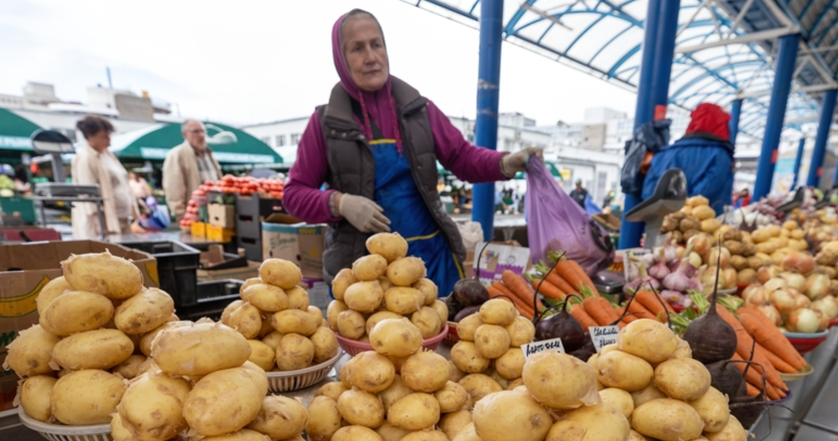 Купить Картошку В Бресте С Доставкой